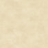 Maywood Shadow Play Antique Cream Tonal by the Half Yard 513M-WT2